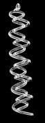 SPIRAL DOUBLE - WITHOUT STONE 